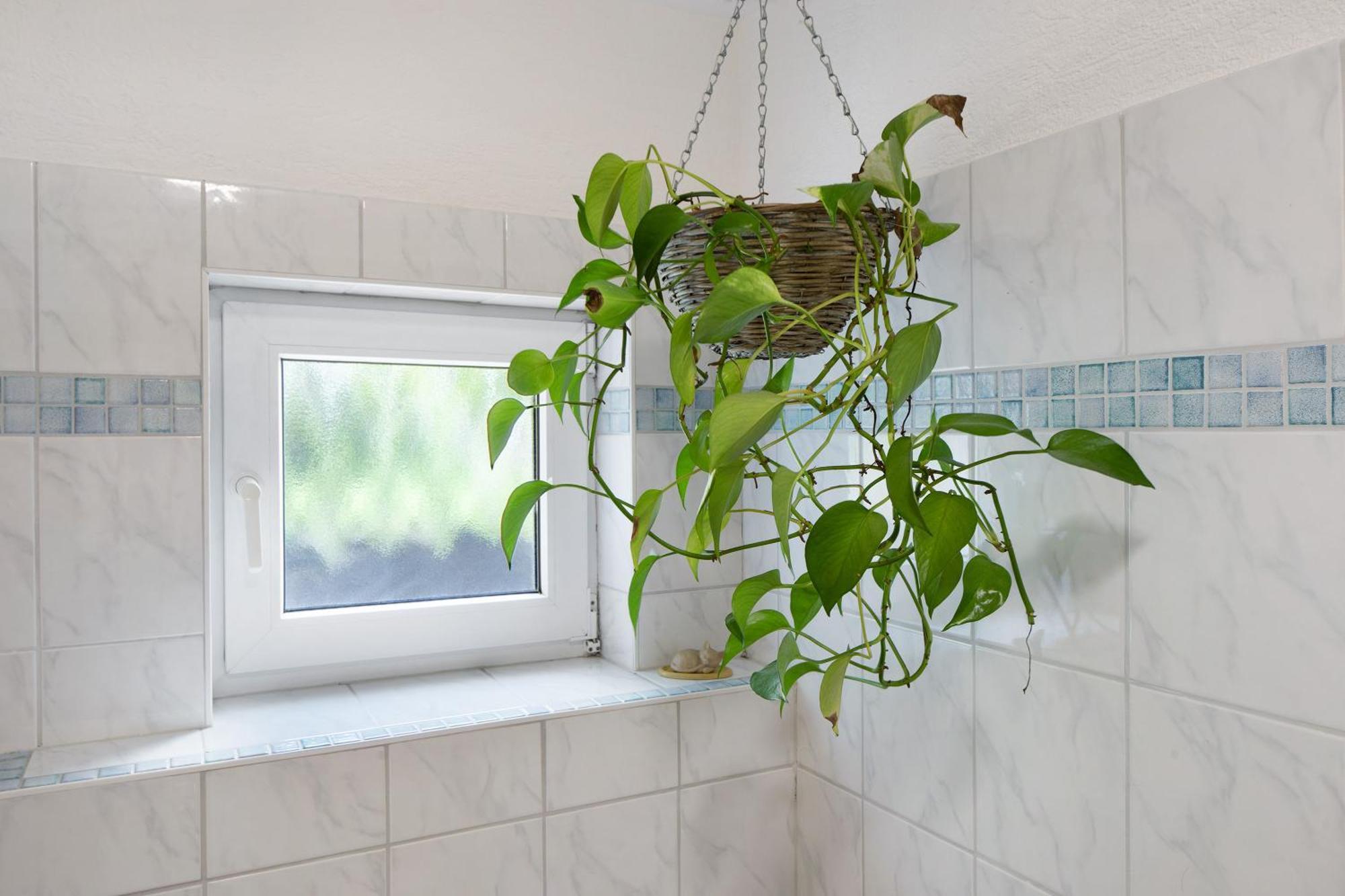 Ferienwohnung Zur Schauinslandbahn Horben Экстерьер фото